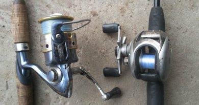 Baitcasting Reel or Spinning Reel