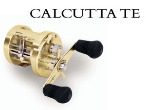 Shimano Calcutta TE Reel