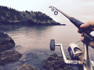 bass-fishing-Resources